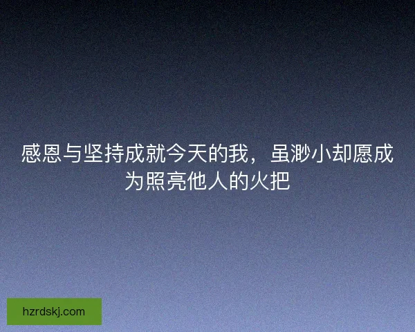感恩与坚持成就今天的我，虽渺小却愿成为照亮他人的火把